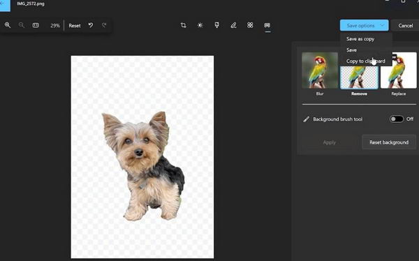 微软确认在 Windows 照片中增加新的背景移除等功能插图