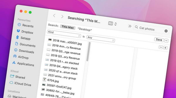 如何在不使用 Spotlight 的情况下使用 macOS 文件搜索插图