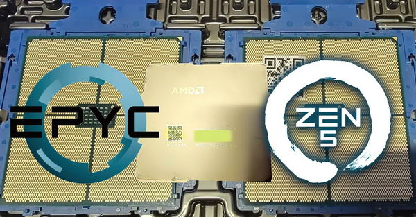 AMD 下一代 Zen 5 EPYC 