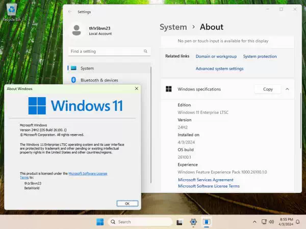 Windows 11 24H2 LTSC 英文版镜像文件泄露 [附BT种下载]