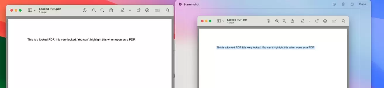 如何在 macOS 中从锁定的 PDF 中复制文本插图1